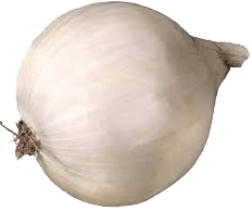 Value Center Market  white onion, whole large, price per pound Full-Size Picture